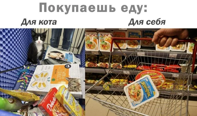 Воскресный вайб: 50 мемов для идеального отдыха мемы, приколы, воскресенье, отдых, юмор, картинки, настроение