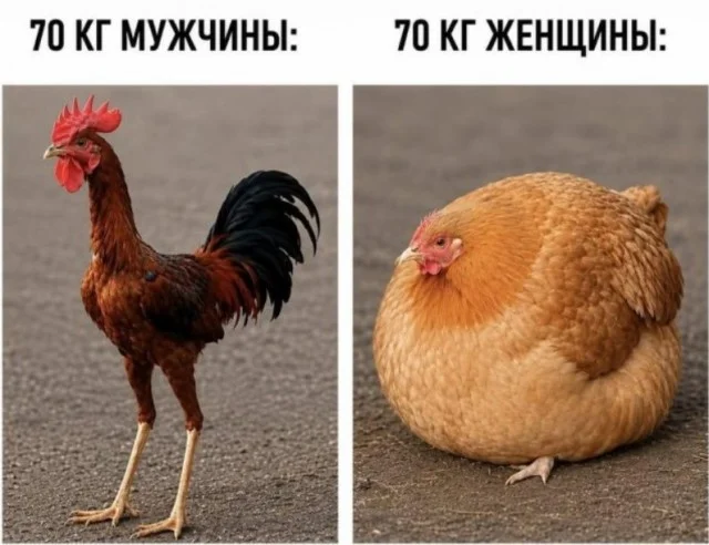 Воскресный вайб: 50 мемов для идеального отдыха мемы, приколы, воскресенье, отдых, юмор, картинки, настроение
