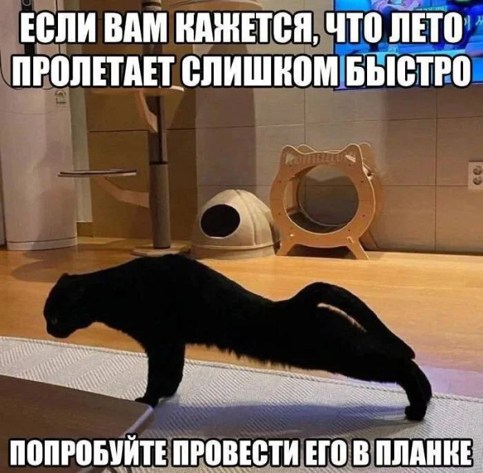 Воскресный вайб: 50 мемов для идеального отдыха мемы, приколы, воскресенье, отдых, юмор, картинки, настроение