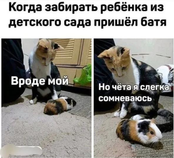 Воскресный вайб: 50 мемов для идеального отдыха мемы, приколы, воскресенье, отдых, юмор, картинки, настроение