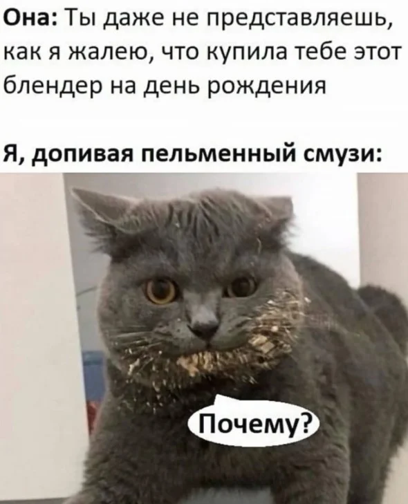Воскресный вайб: 50 мемов для идеального отдыха мемы, приколы, воскресенье, отдых, юмор, картинки, настроение