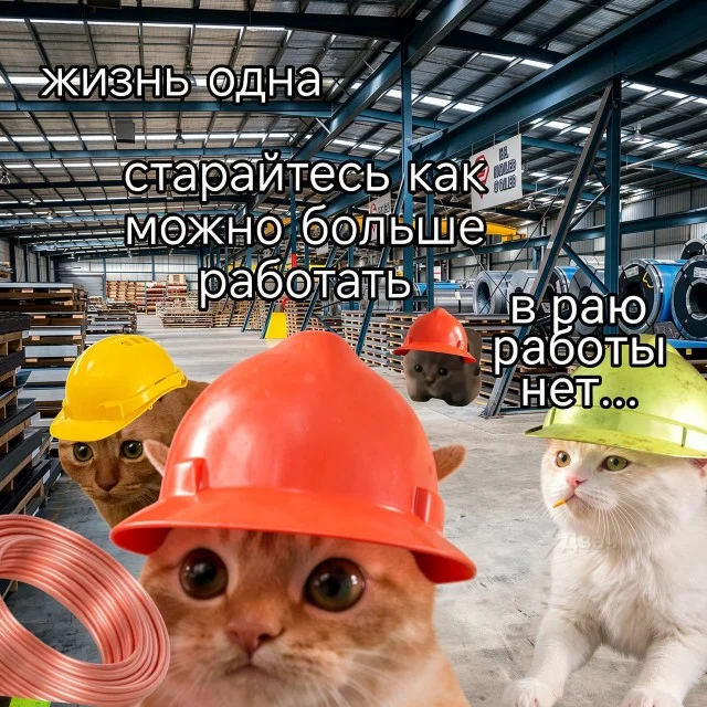 Воскресный вайб: 50 мемов для идеального отдыха мемы, приколы, воскресенье, отдых, юмор, картинки, настроение
