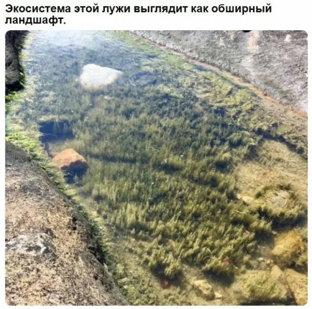 Воскресный вайб: 50 мемов для идеального отдыха мемы, приколы, воскресенье, отдых, юмор, картинки, настроение