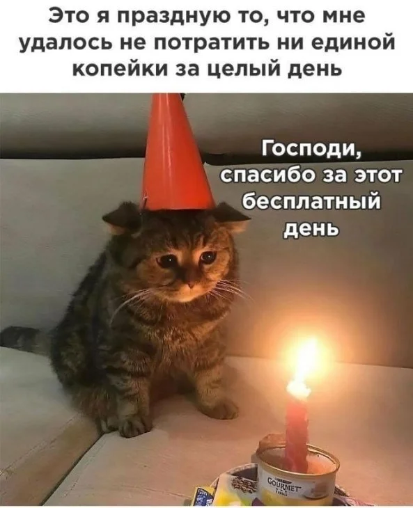 Воскресный вайб: 50 мемов для идеального отдыха мемы, приколы, воскресенье, отдых, юмор, картинки, настроение