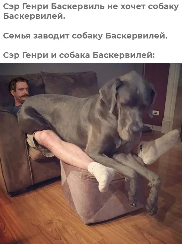 Воскресный вайб: 50 мемов для идеального отдыха мемы, приколы, воскресенье, отдых, юмор, картинки, настроение