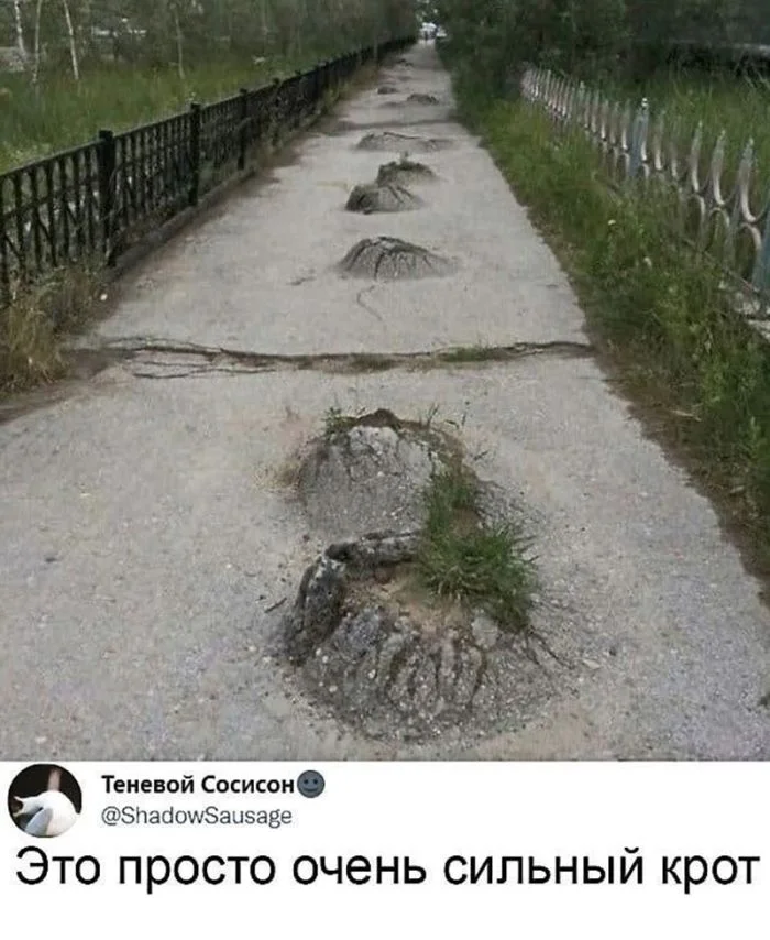 Черный юмор: когда мораль ушла в отпуск Черный юмор: когда мораль ушла в отпуск черный юмор, цинизм, комментарии, подборка, смешное