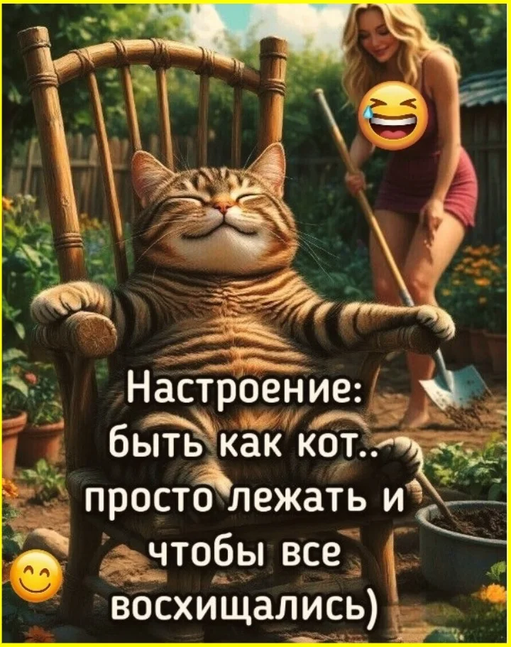 Куда исчезают носки? Загадка решена носки, стиральная машина, загадка, отжим, быт