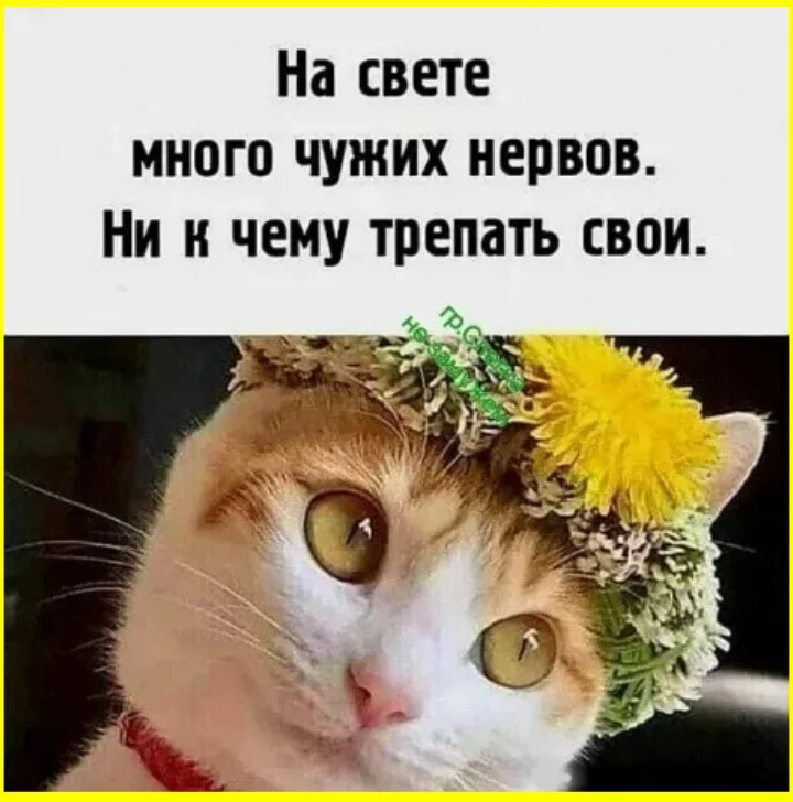 Куда исчезают носки? Загадка решена носки, стиральная машина, загадка, отжим, быт