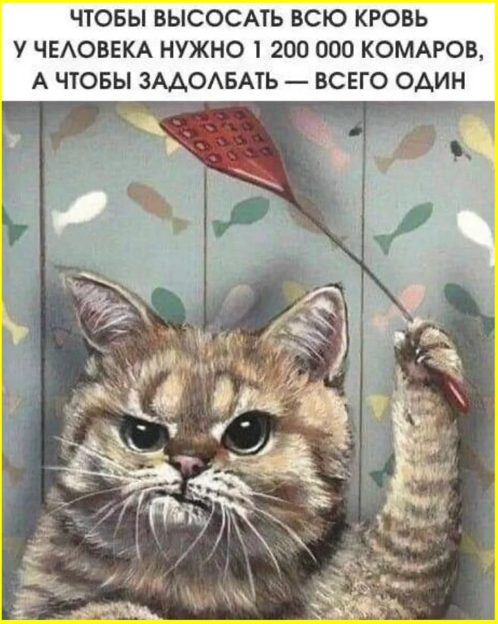 Ну и гад же ты: как жены реагируют на новые покупки Ну и гад же ты: как жены реагируют на новые покупки гаджеты, юмор, отношения, покупки, приколы