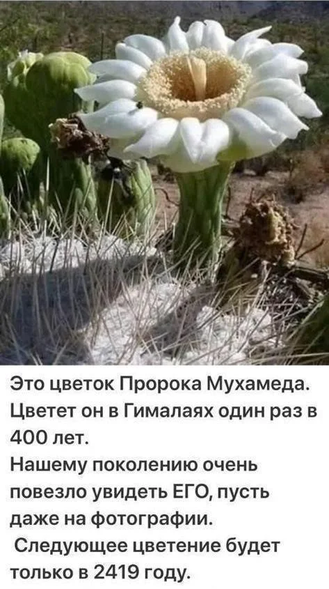 Земля: 80 кадров, от которых захватывает дух Земля: 80 кадров, от которых захватывает дух Земля, космос, фото, планета, подборка