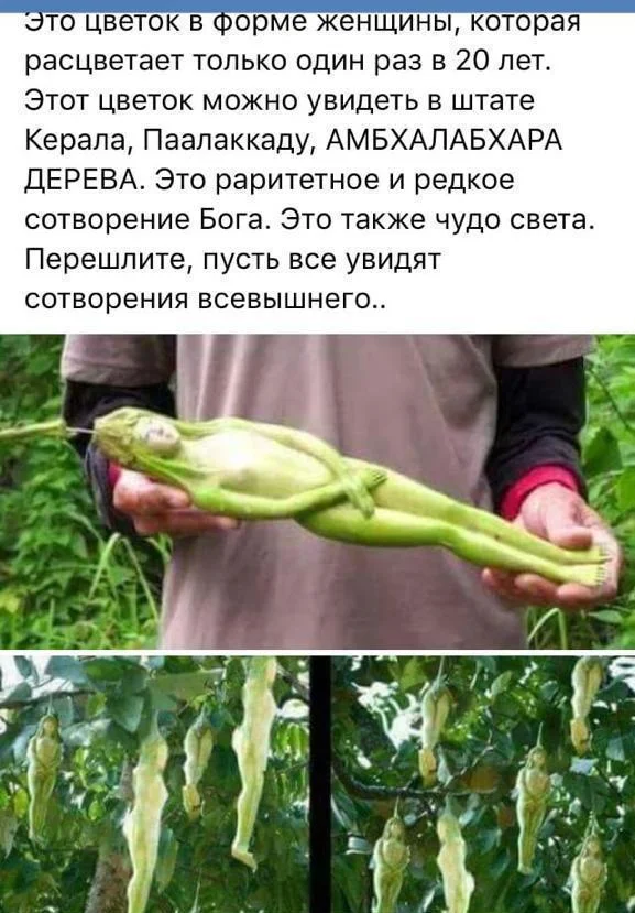 Земля: 80 кадров, от которых захватывает дух Земля: 80 кадров, от которых захватывает дух Земля, космос, фото, планета, подборка