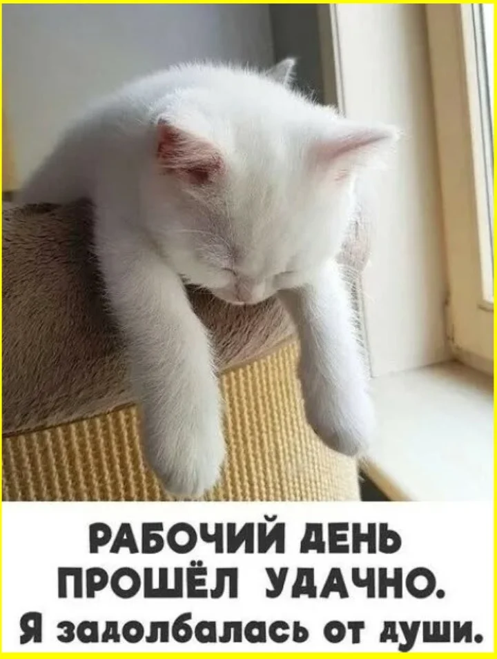 Когда женщина берет инициативу в свои руки