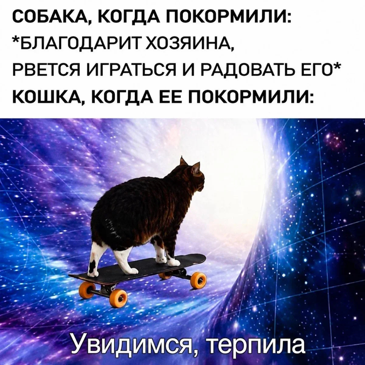 Утренний юмор: мемы для хорошего дня мемы, приколы, юмор, подборка