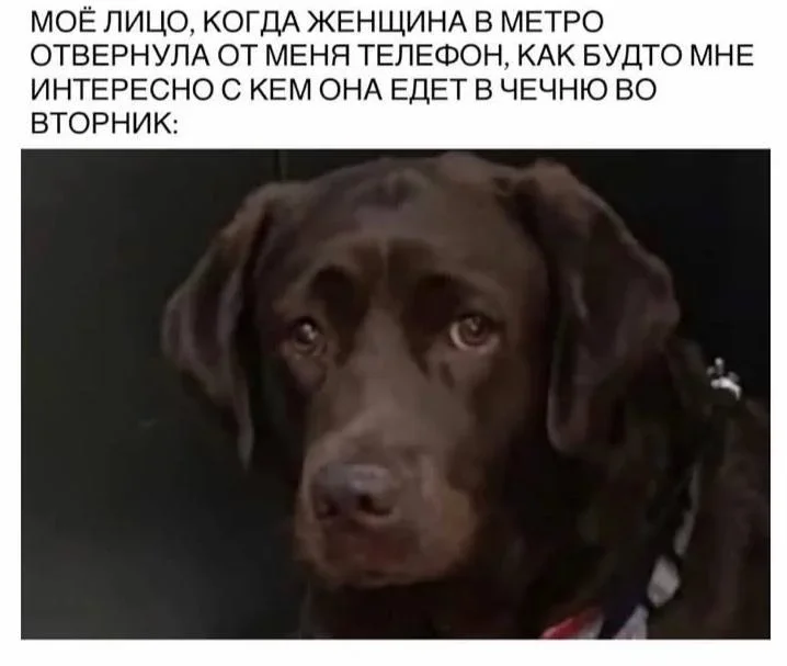 Утренний юмор: мемы для хорошего дня мемы, приколы, юмор, подборка