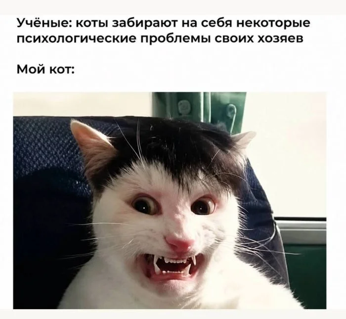 Улыбка на максимум: убойная порция свежих мемов мемы, приколы, юмор, подборка, картинки