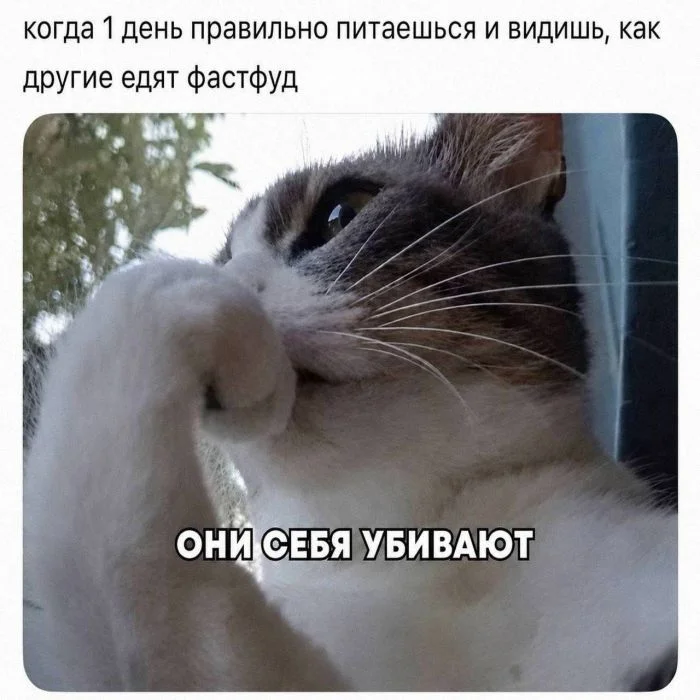 Улыбка на максимум: убойная порция свежих мемов мемы, приколы, юмор, подборка, картинки