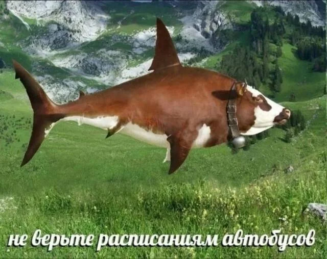 Улыбка на максимум: убойная порция свежих мемов мемы, приколы, юмор, подборка, картинки