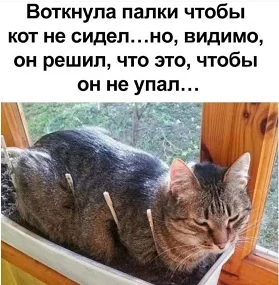 Деньги, космос и футбол: едкая подборка для поднятия настроения Деньги, космос и футбол: едкая подборка для поднятия настроения юмор, анекдоты, сатира, подборка, жизнь