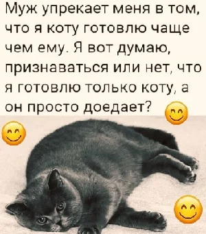 Политический юмор: анекдоты, которые не расскажут по телевизору Политический юмор: анекдоты, которые не расскажут по телевизору анекдоты, политика, юмор, шутки, мемы, подборка