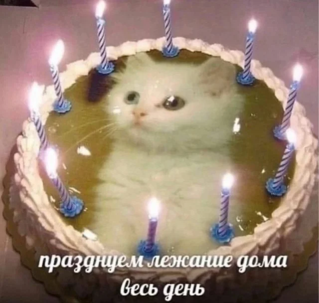 Заряд бодрости и смеха: утренняя подборка мемов мемы, утро, юмор, подборка, настроение