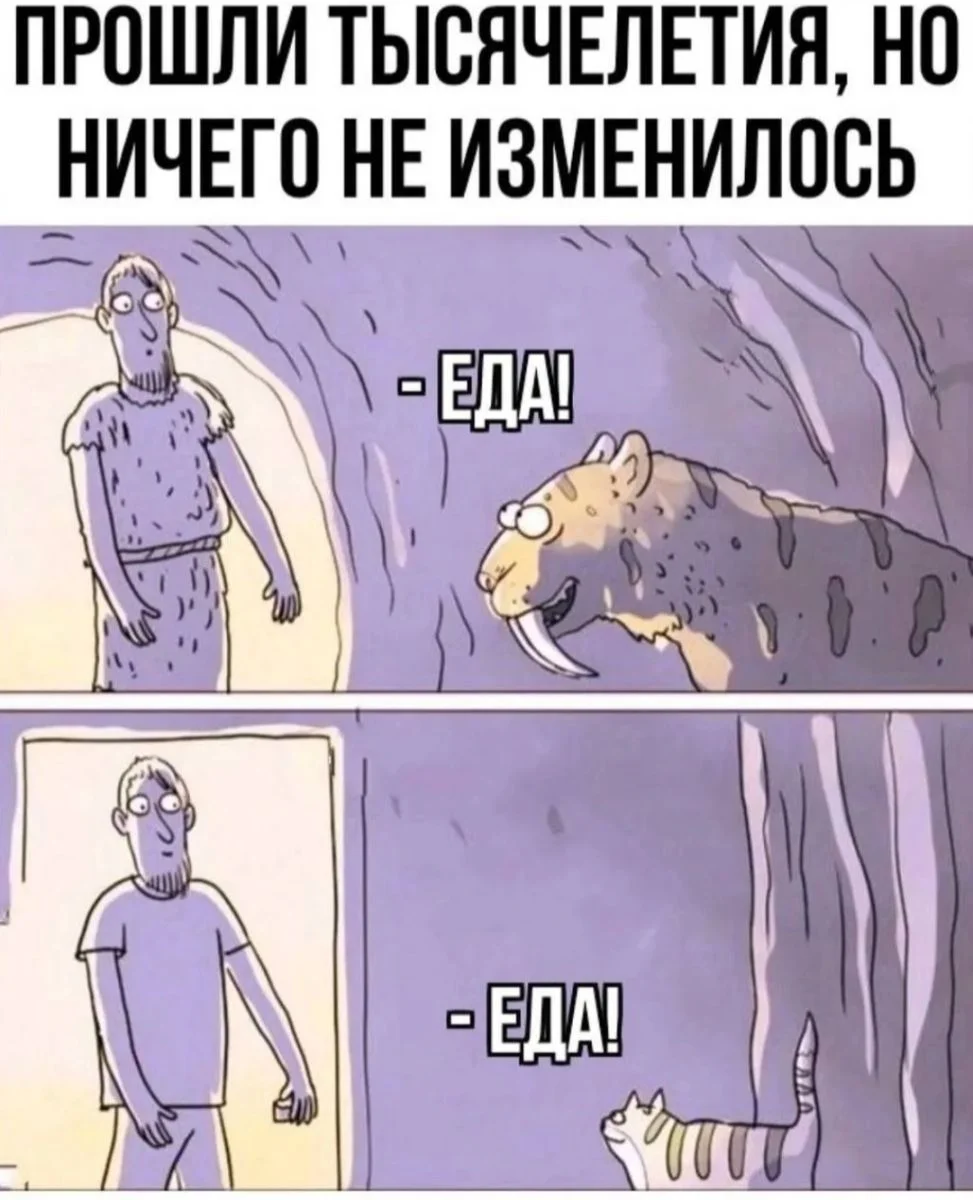 Заряд бодрости и смеха: утренняя подборка мемов мемы, утро, юмор, подборка, настроение