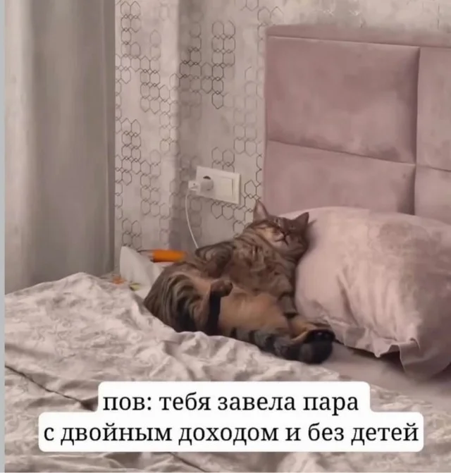 Заряд бодрости и смеха: утренняя подборка мемов мемы, утро, юмор, подборка, настроение