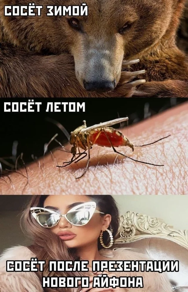 Заряд бодрости и смеха: утренняя подборка мемов мемы, утро, юмор, подборка, настроение