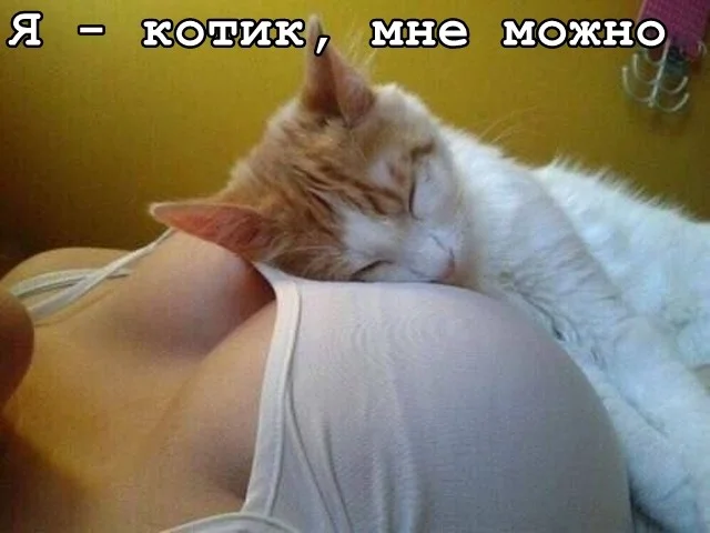 Заряд бодрости и смеха: утренняя подборка мемов мемы, утро, юмор, подборка, настроение
