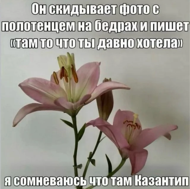 Заряд бодрости и смеха: утренняя подборка мемов мемы, утро, юмор, подборка, настроение