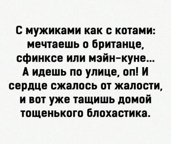 Мемы вторника: внимательная корзина и сосед Мемы вторника: внимательная корзина и сосед мемы, приколы, юмор, подборка, интернет