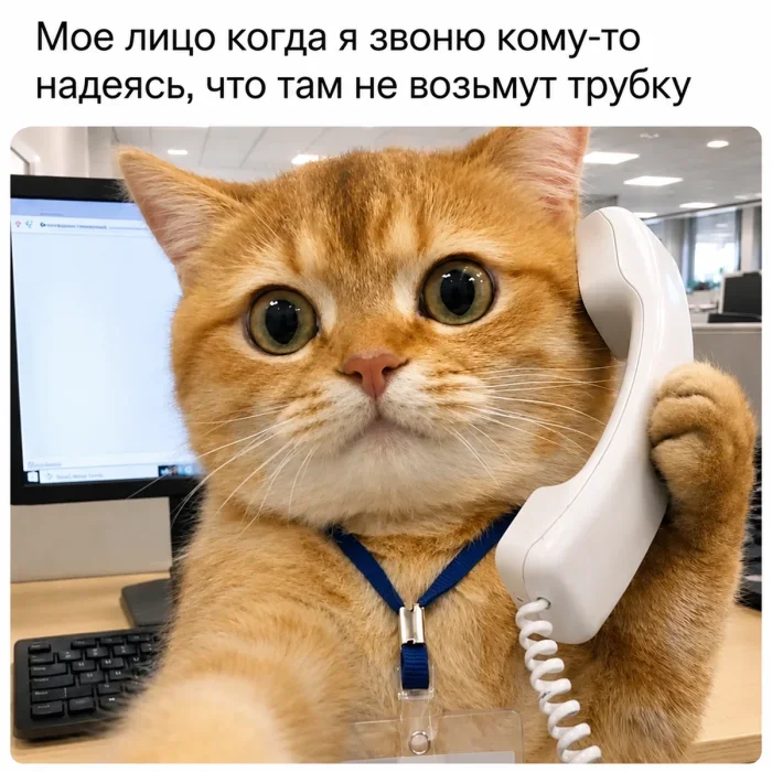 Мемы вторника: внимательная корзина и сосед Мемы вторника: внимательная корзина и сосед мемы, приколы, юмор, подборка, интернет