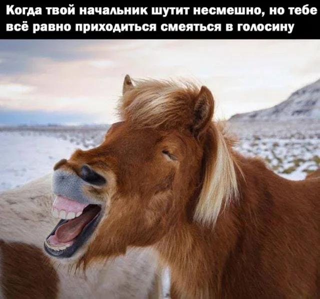 Мемы вторника: внимательная корзина и сосед Мемы вторника: внимательная корзина и сосед мемы, приколы, юмор, подборка, интернет