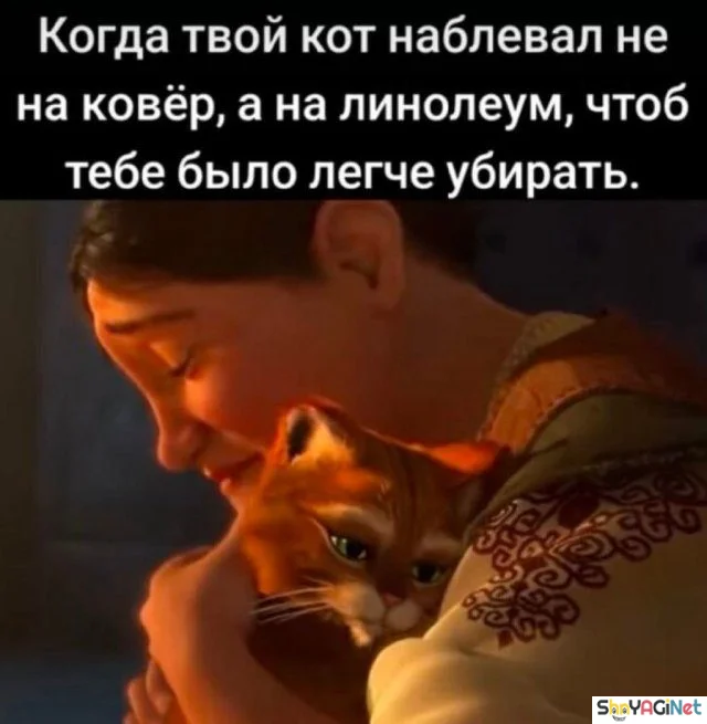 Свежие мемы «Когда…» мемы, приколы, подборка, картинки, юмор
