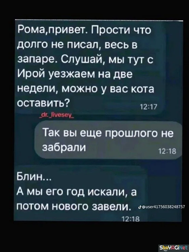 Угарные СМС-переписки, которые заставят вас смеяться до слез Угарные СМС-переписки, которые заставят вас смеяться до слез смс, приколы, юмор, переписки, смешное