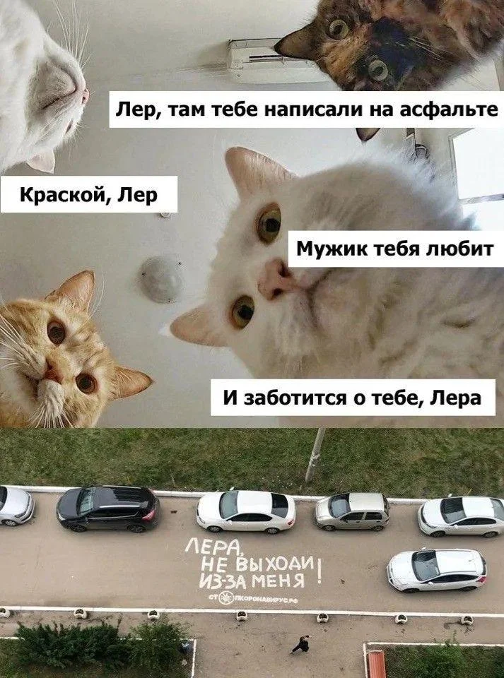Золотая жила мемов: улов августа 2026 Золотая жила мемов: улов августа 2026 мемы, приколы, август, подборка, смешное