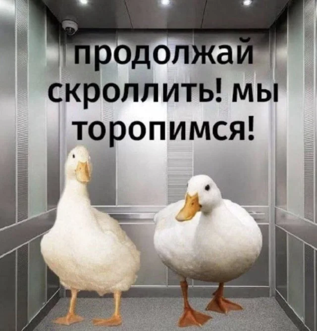 Мемы, в которых логика сдалась Мемы, в которых логика сдалась мемы, приколы, подборка, картинки