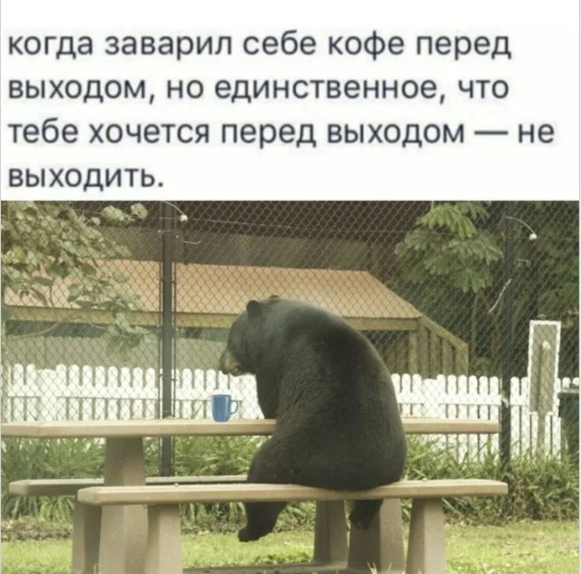 Мемы, в которых логика сдалась Мемы, в которых логика сдалась мемы, приколы, подборка, картинки