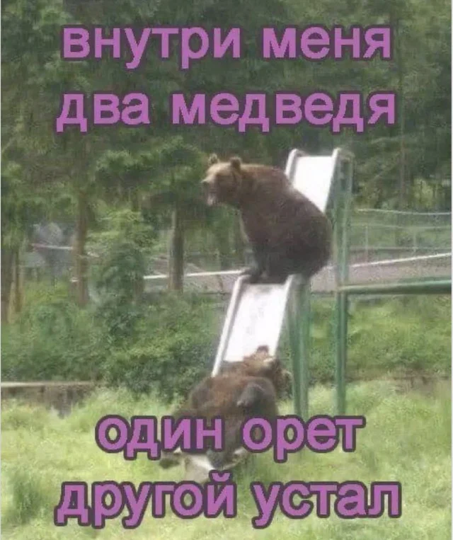 Мемы, в которых логика сдалась Мемы, в которых логика сдалась мемы, приколы, подборка, картинки