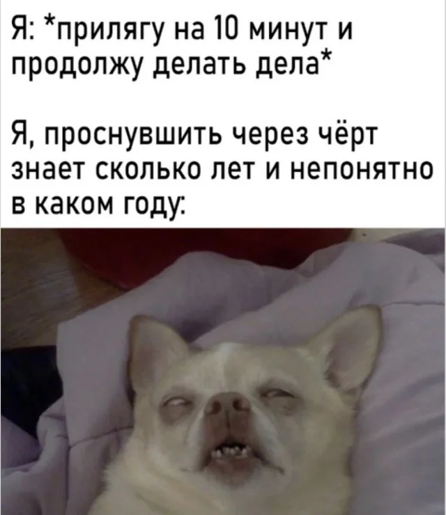 Мемы, в которых логика сдалась Мемы, в которых логика сдалась мемы, приколы, подборка, картинки