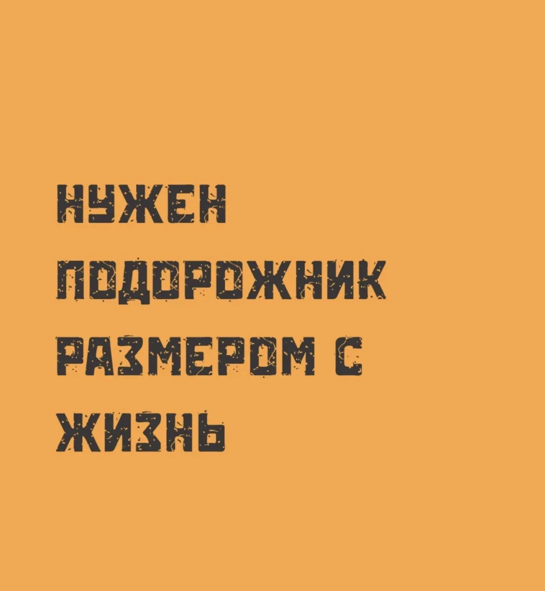 Смех до склероза: убойная подборка юмора юмор, приколы, мемы, картинки, подборка, семья, абсурд