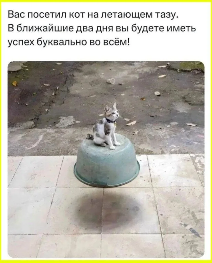 Женская логика: последний аргумент в споре психология, отношения, споры, юмор