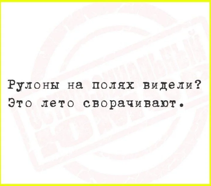 Женская логика: последний аргумент в споре психология, отношения, споры, юмор