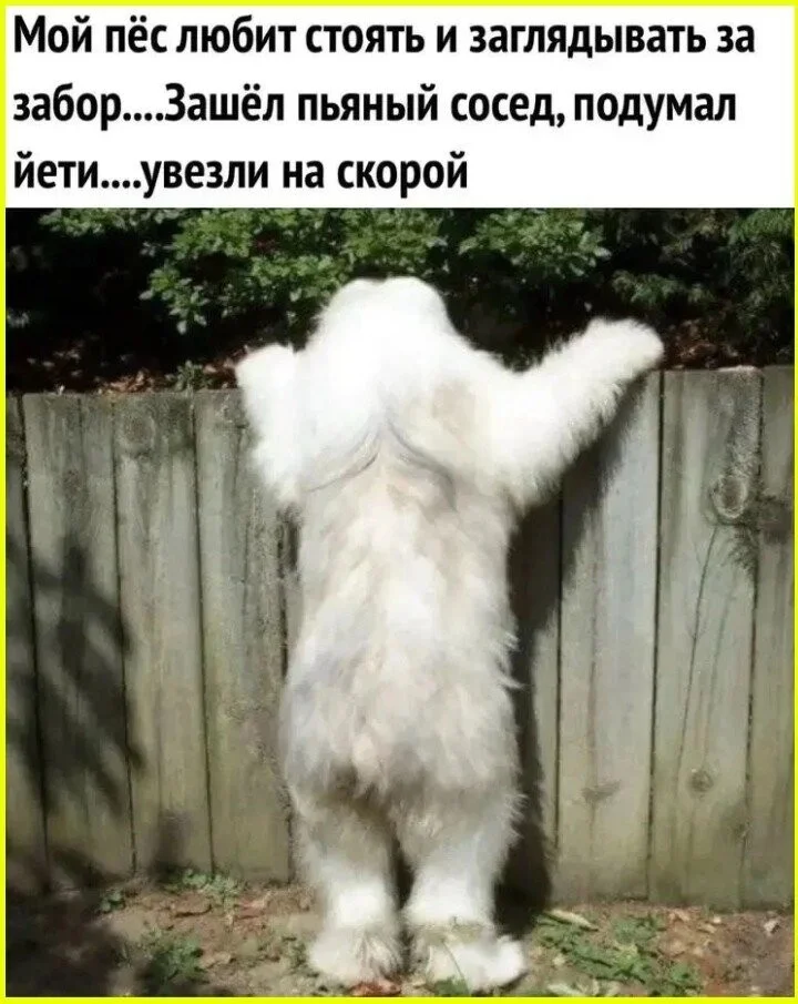 Выпускники осознали страшную правду о работе Выпускники осознали страшную правду о работе мемы, работа, выпускники, приколы, жизненное
