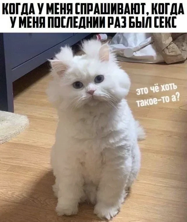Мемная зарядка на 27 августа мемы, юмор, приколы, подборка