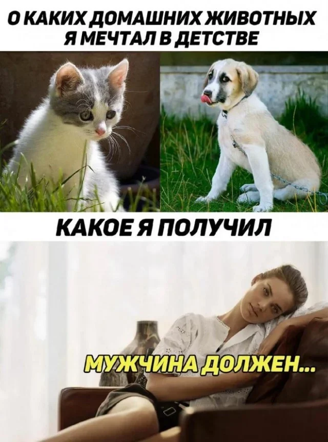 Мемная зарядка на 27 августа мемы, юмор, приколы, подборка