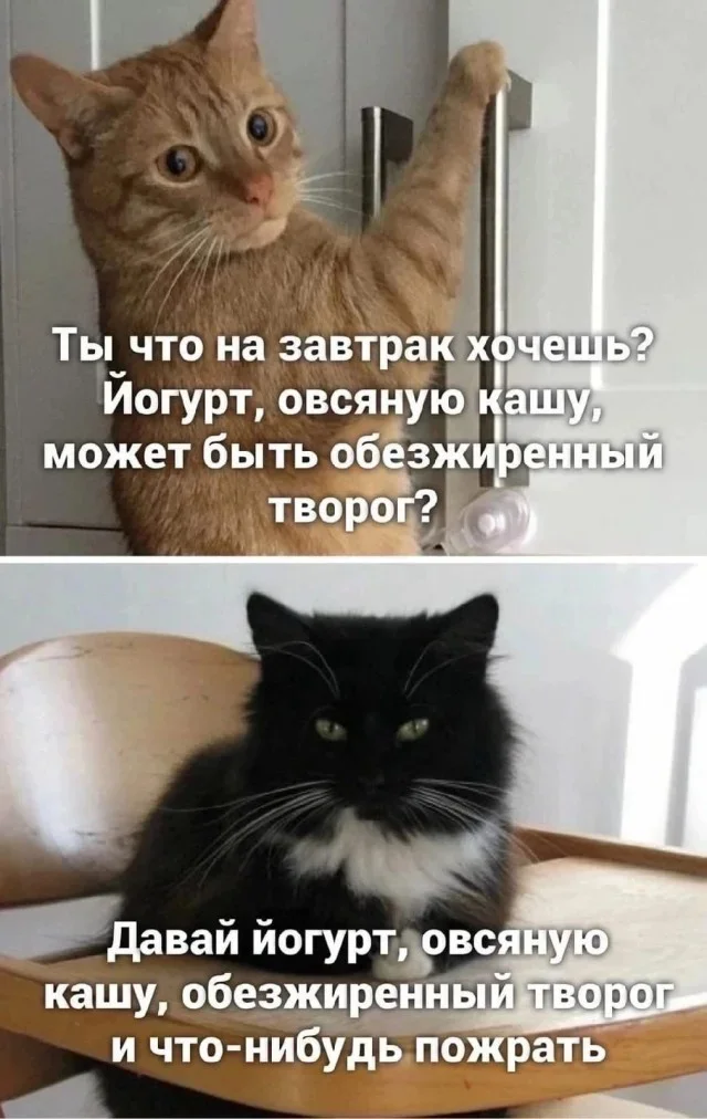 Мемная зарядка на 27 августа мемы, юмор, приколы, подборка