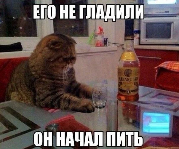 Самые сочные мемы уходящего лета Самые сочные мемы уходящего лета мемы, приколы, лето, тренды, подборка