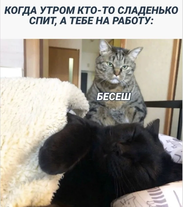Колесо фортуны смеха: подборка, которая бьет точно в цель Колесо фортуны смеха: подборка, которая бьет точно в цель приколы, картинки, мемы, настроение, подборка