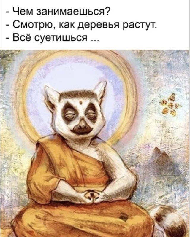 Колесо фортуны смеха: подборка, которая бьет точно в цель Колесо фортуны смеха: подборка, которая бьет точно в цель приколы, картинки, мемы, настроение, подборка