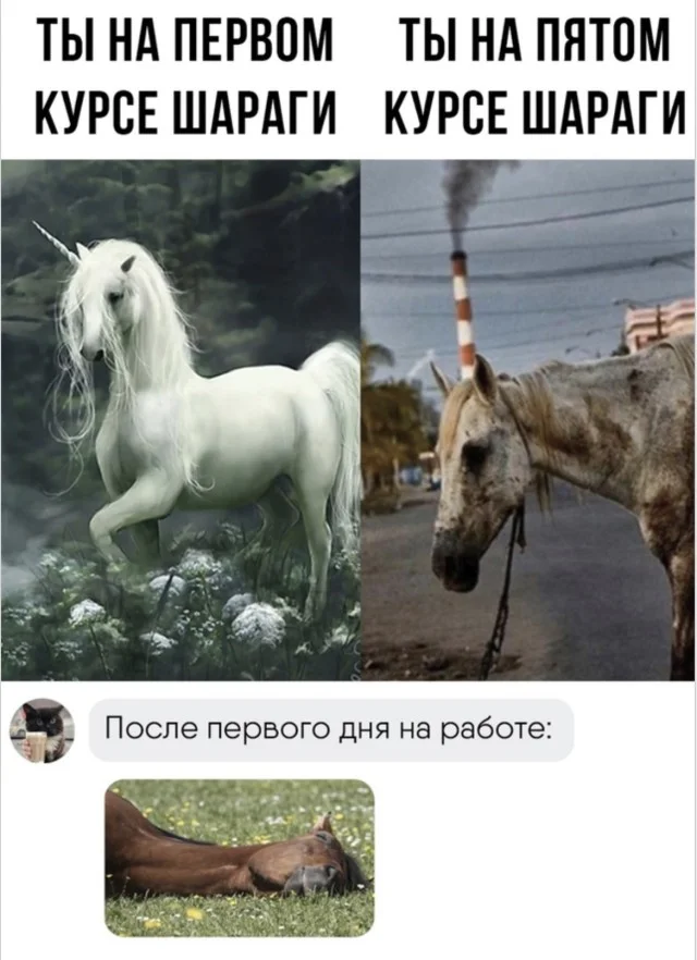 Фото, ломающие мозг: 15 кадров без логики приколы, странное, подборка, интересно